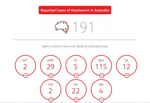 Herzwurm-Fälle in Australien