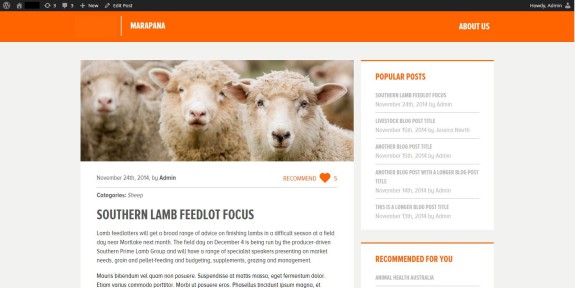 Livestock Blog Detailseite