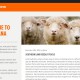Livestock Blog - Homepage