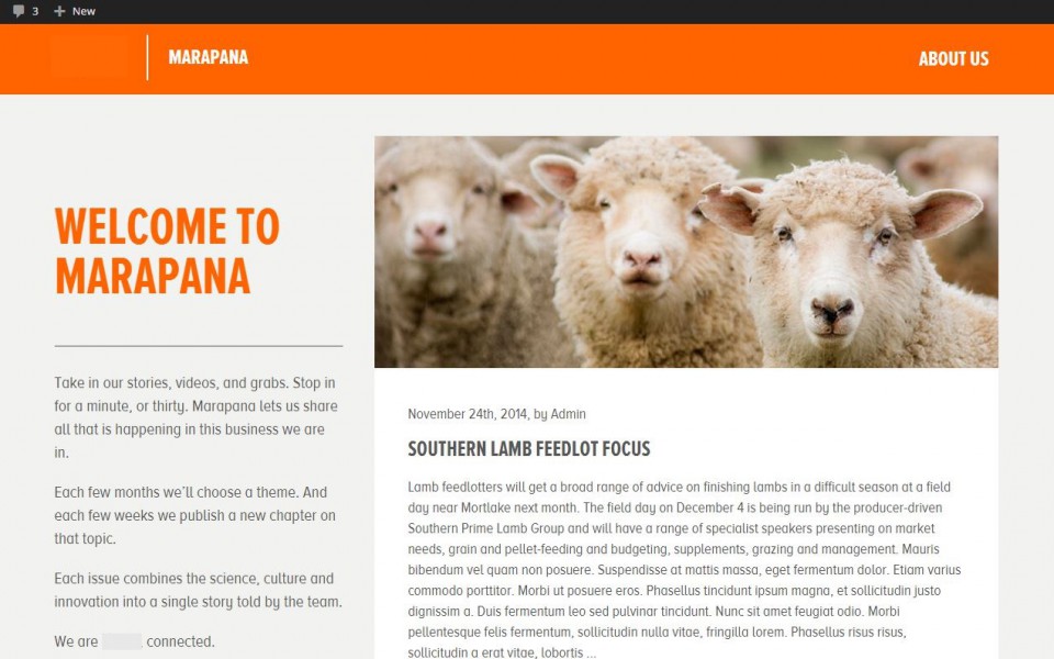 Livestock Blog - Homepage